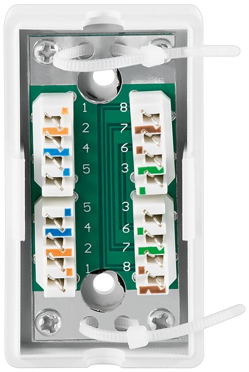 Netzwerk_Anschlussbox_CAT5e_39-875-00360_B2