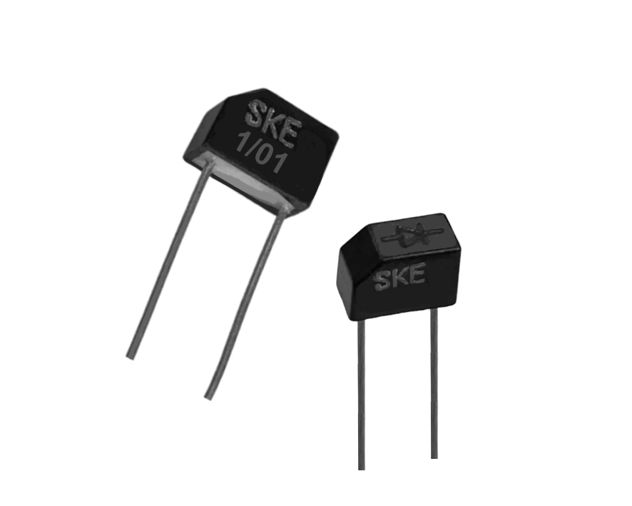 SKE-1/01 Diode 120V 1,3A RM 7,5mm