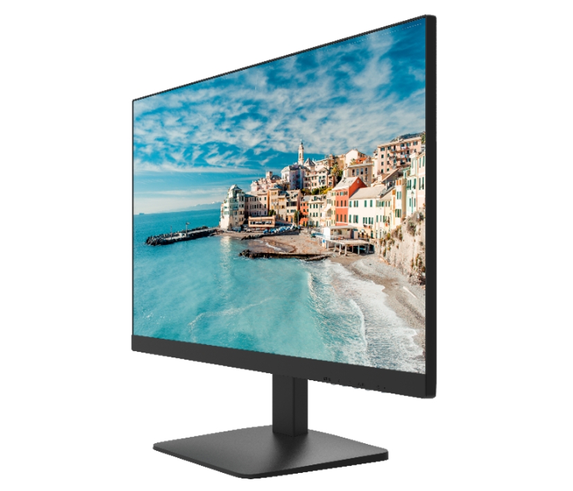 HikVision_Monitor_DS-D5022FN_55-400-01823_B04
