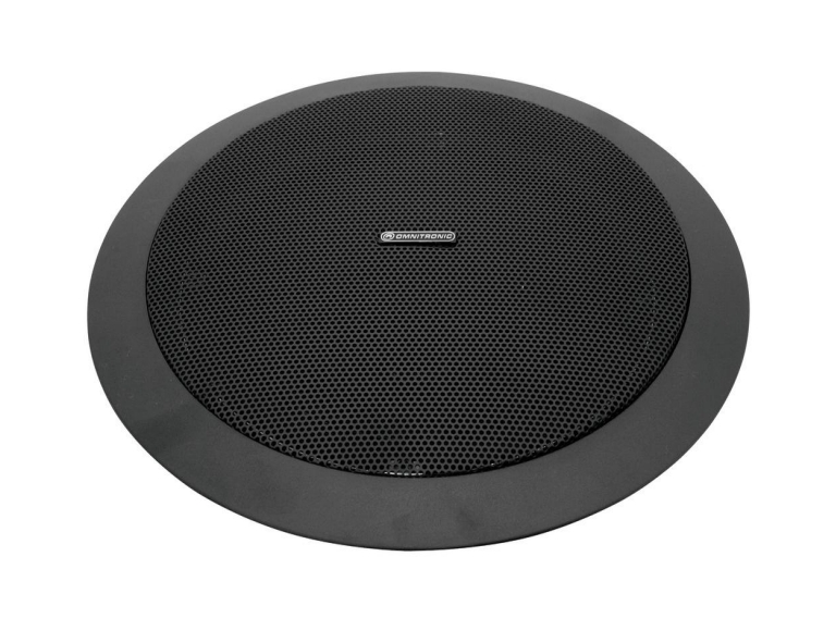 Deckenlautsprecher-Schwarz-100V