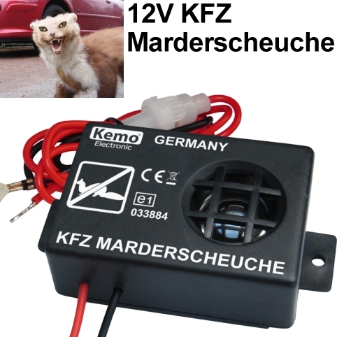 92-477-00244_Marder_im_Auto_B2