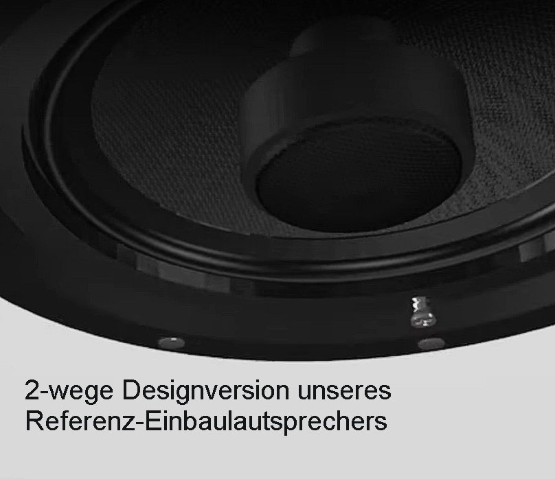 2wege HiFi Deckenlautsprecher