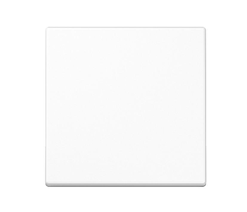 Jung 1-fach Wippe Blende Schalterabdeckung 55x55mm Alpinweiss