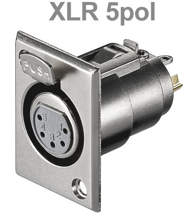 39-852-00020-Went-11971