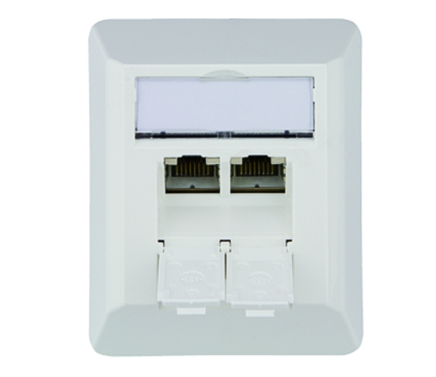 Aufputz_Netzwerkdose_CAT6A_39-875-00270 Netzwerkdose CAT6A Aufputz Doppeldose mit Blende LAN Dose Alpinweiss